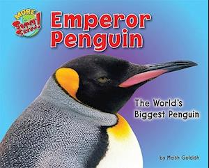 Emperor Penguin