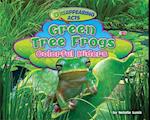 Green Tree Frogs