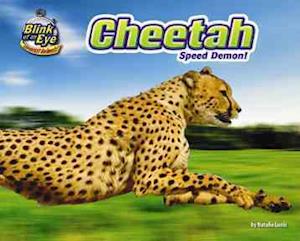 Cheetah