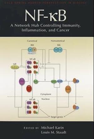 Nf-Kb, a Network Hub Controlling Immunity, Inflammation, and Cancer