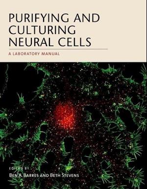 Purifying and Culturing Neural Cells