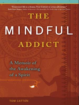 Mindful Addict