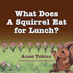 What Does a Squirrel Eat for Lunch?