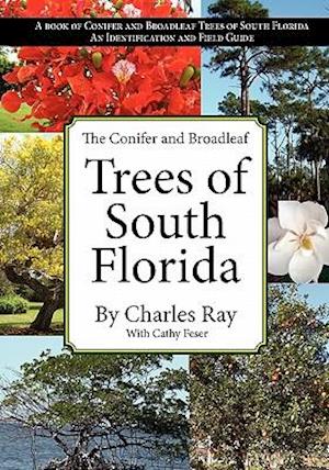 The Conifer and Broadleaf Trees of the South