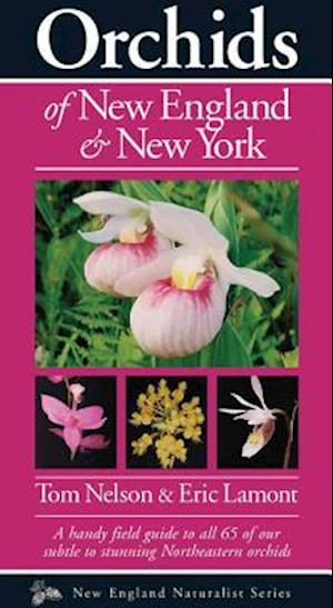 Orchids of New England & New York