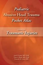 Pediatric Abusive Head Trauma, Volume One