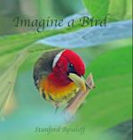 Imagine a Bird