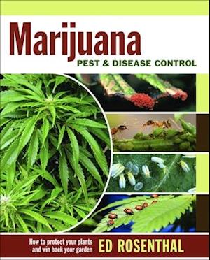 Marijuana Pest and Disease Control