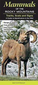 Mammals of the Rocky Mountains