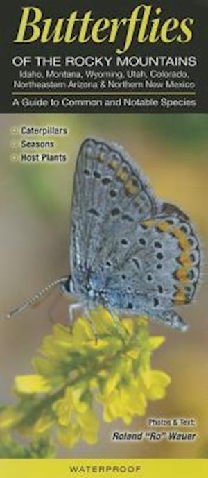 Butterflies of the Rocky Mountains Including Id, MT, UT, WY, Co, Ne. AZ & N. NM