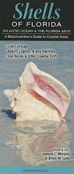 Shells of Florida-Atlantic Ocean & Florida Keys