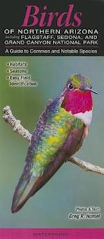 Birds of Northern Arizona Including Flagstaff, Sedona, & Grand Canyon National Park