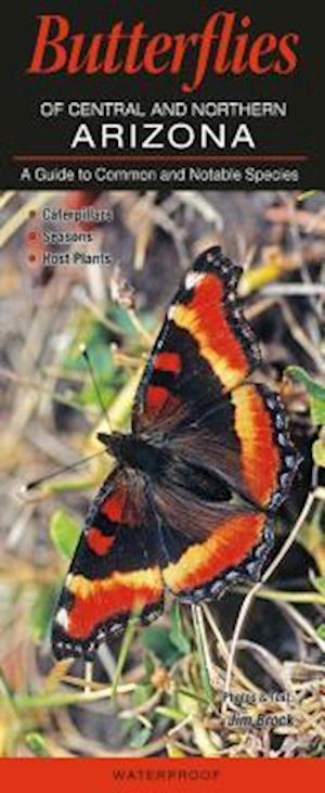 Butterflies of Central and Northern Arizona