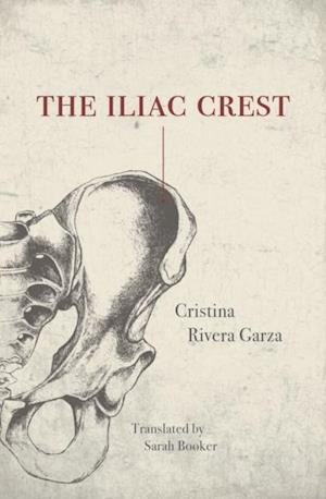 Iliac Crest