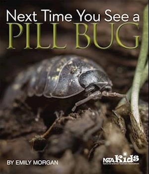 Next Time You See a Pill Bug