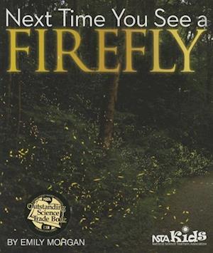 Next Time You See a Firefly