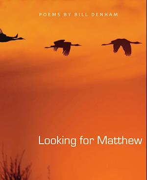 Looking for Matthew