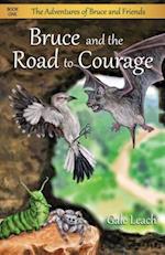 BRUCE & THE ROAD TO COURAGE RE