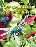 Ants and Beetles, Dragonflies