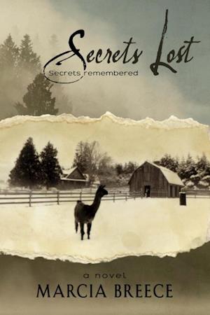 Secrets Lost : Secrets Remembered