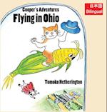 Flying in Ohio