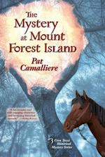 The Mystery at Mount Forest Island