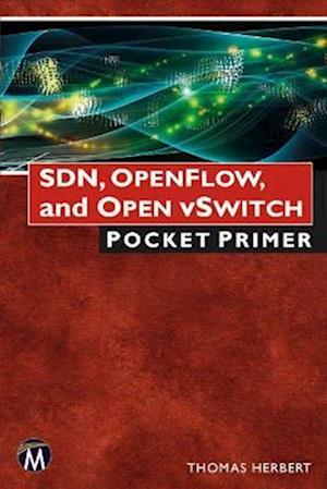 SDN, OpenFlow, and Open vSwitch