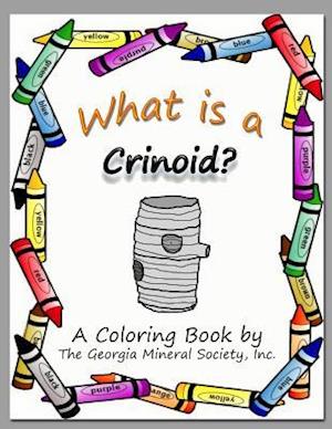 What Is a Crinoid?