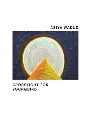 Crosslight for Youngbird