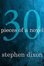 30 Pieces of a Novel