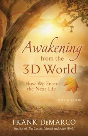 Awakening from the 3D World