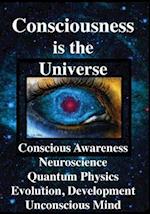 Consciousness Is the Universe