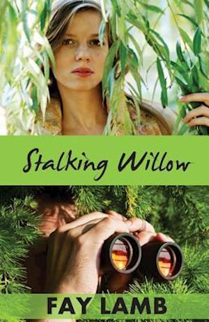 Stalking Willow