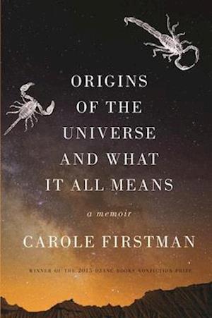 Origins of the Universe and What It All Means