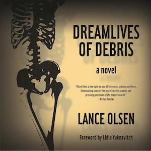 Dreamlives of Debris