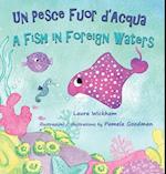 Un Pesce Fuor d'Acqua - A Fish in Foreign Waters