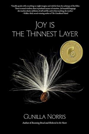 Joy Is the Thinnest Layer