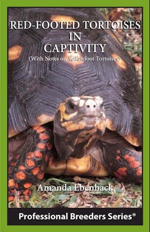 Red-footed Tortoises in Captivity