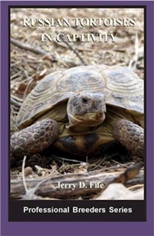 Russian Tortoises in Captivity