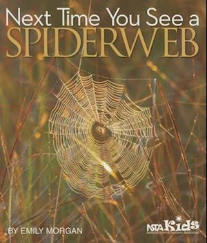 Next Time You See a Spiderweb