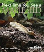 Next Time You See a Maple Seed