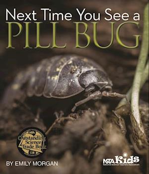 Next Time You See a Pill Bug