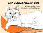 Cantaloupe Cat