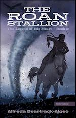 Roan Stallion