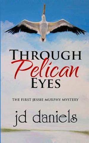 Through Pelican Eyes