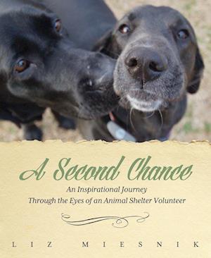 A Second Chance