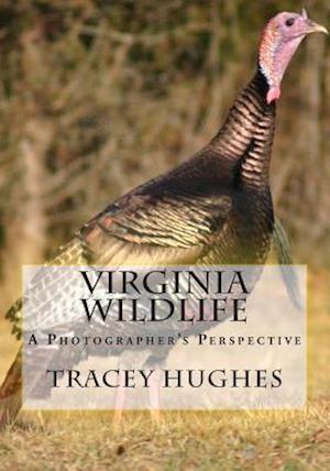 Virginia Wildlife