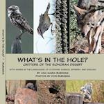 What's in the hole? Critters of the Sonoran Desert
