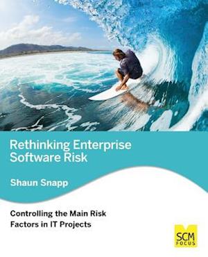 Rethinking Enterprise Software Risk