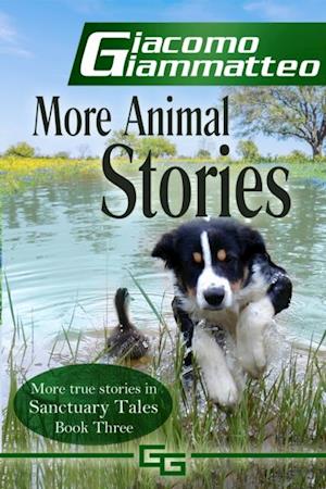 More Animal Stories